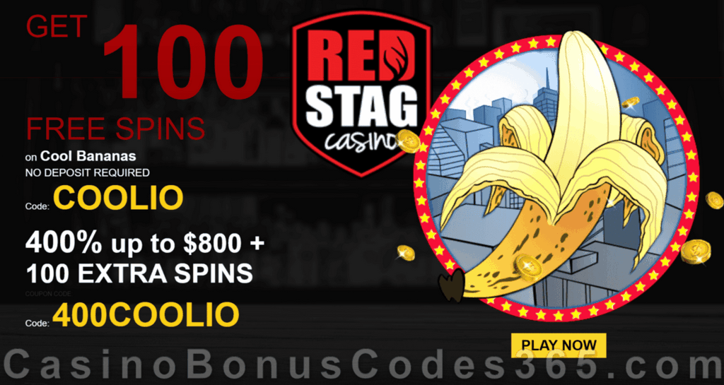 Red Stag Online Casino
