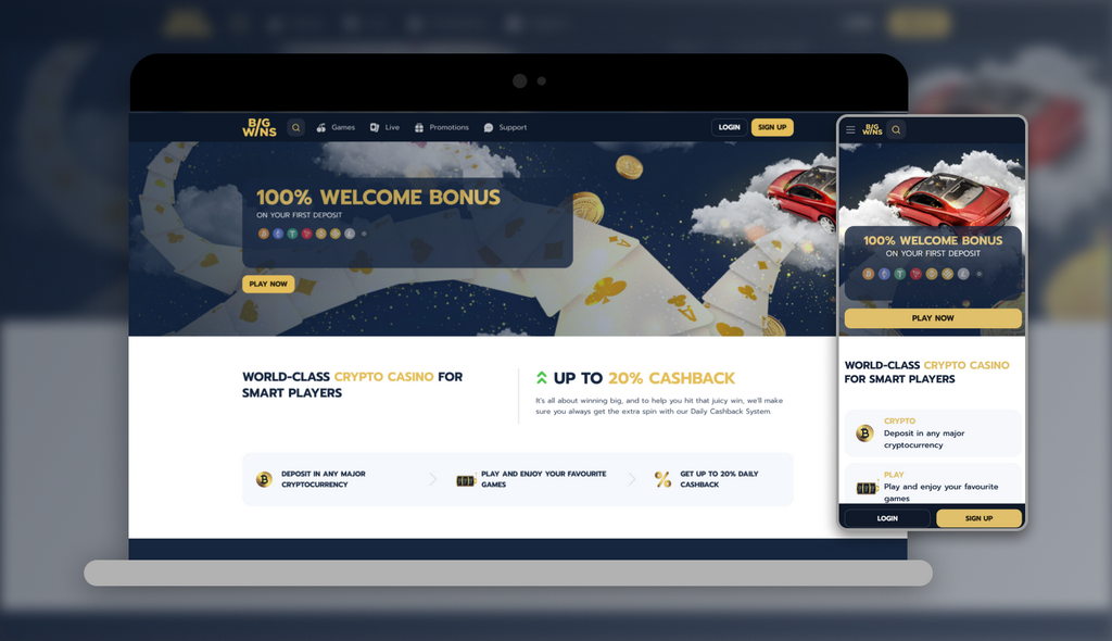 Bigwins Casino Testimonial: Full Review in 2025
